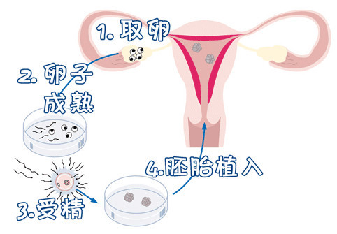 景泰胚胎实验室